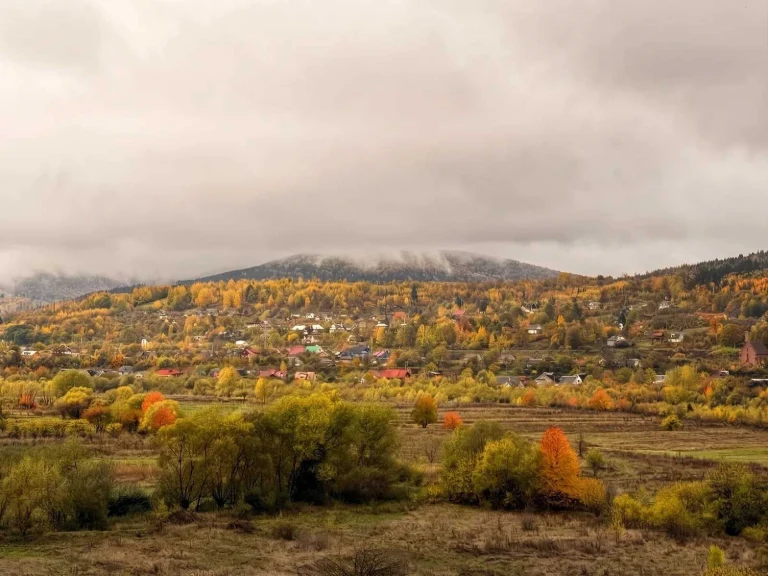 Sale of a house near Yaremche