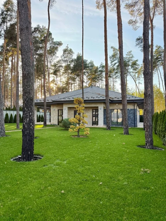 Будинок з ремонтом у Лісовій Бучі, газ, підвал,
