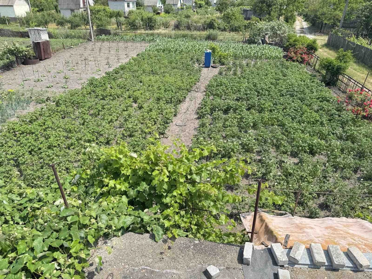 Продається дача дві ділянки поруч. Під город, сад або бізнес.