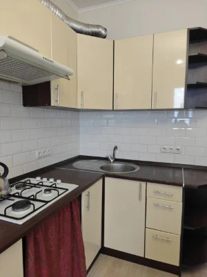 Spacious 1-bedroom apartment near Central Park. State-owned.