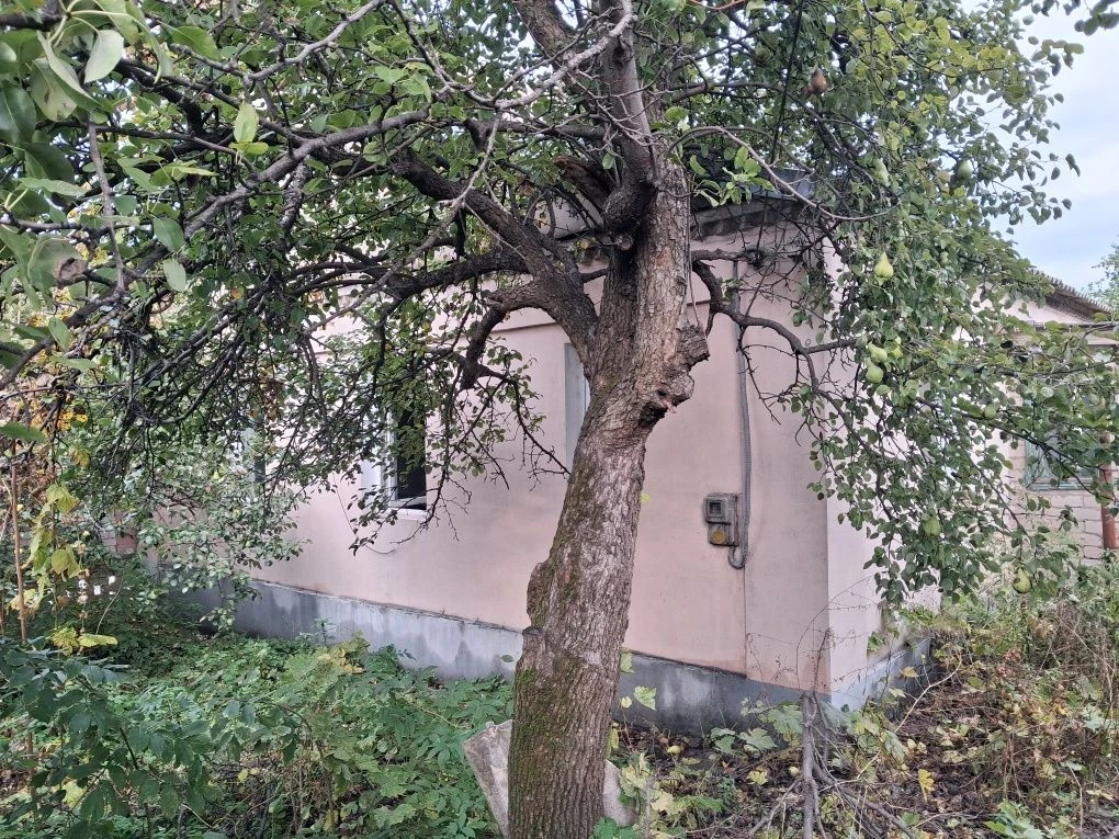 Будинок, Черемушки, Україна