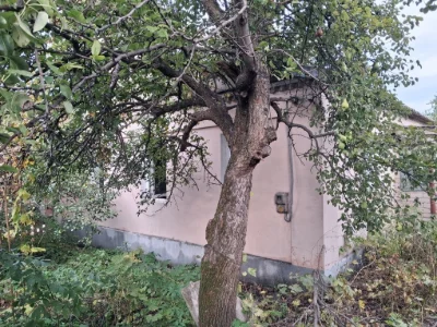 Будинок, Черемушки, Україна
