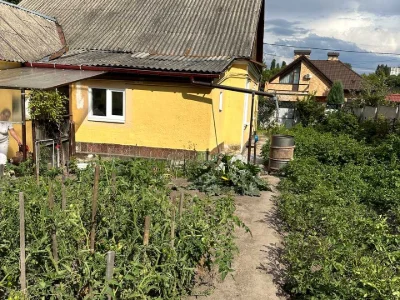 Будинок. Житомир, Ясний пров.