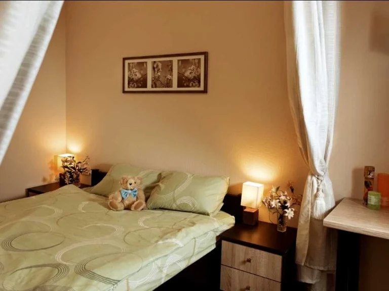 Apartment. Rodyny Hlagollevych Street, Kyiv