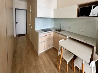 Apartment. Vasylkivska Street, Kyiv