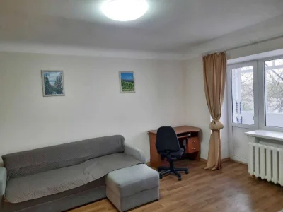 Selling 1-bedroom apartment with renovation, P. Pole, August 23, 6