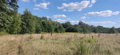 Земельна ділянка у Полтаві, район Вакуленці.