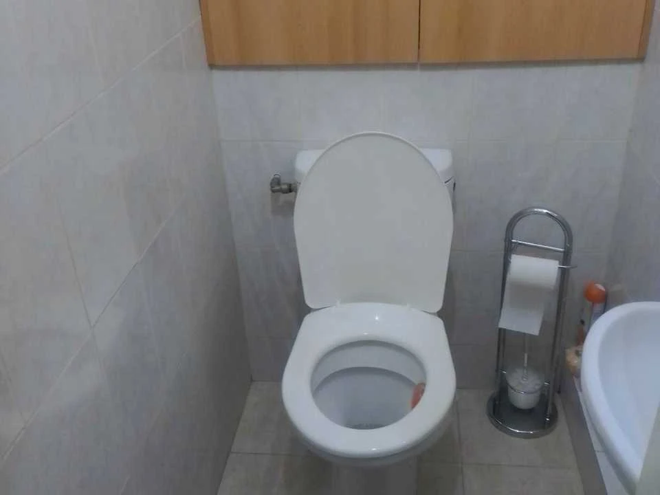 Квартира. Київ, Раїси Окіпної вулиця
