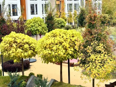 Apartment. Natali Okoltenko st, Irpin