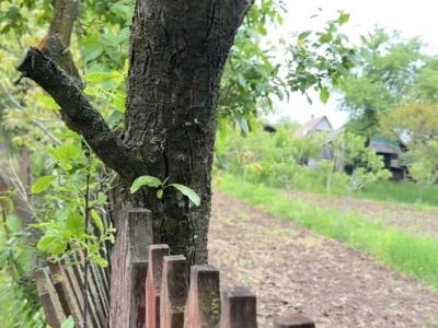 Участок. Черновцы, Лужанская ул.