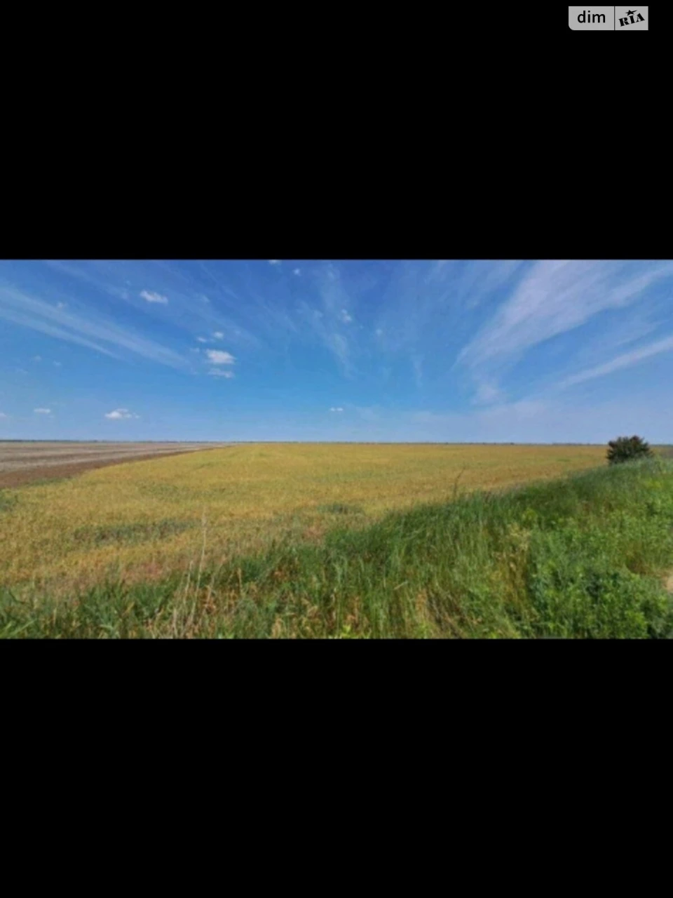 Продаж Земля сільськогосподарського призначення Містечко Кот