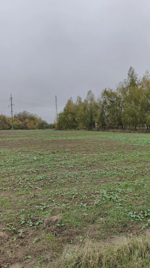 Продажа земельного участка 51 сотка