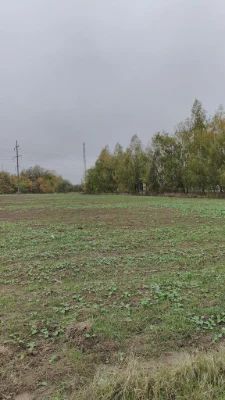Продажа земельного участка 51 сотка