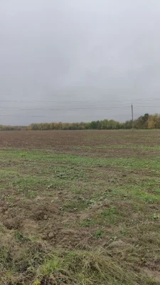 Продажа земельного участка 51 сотка