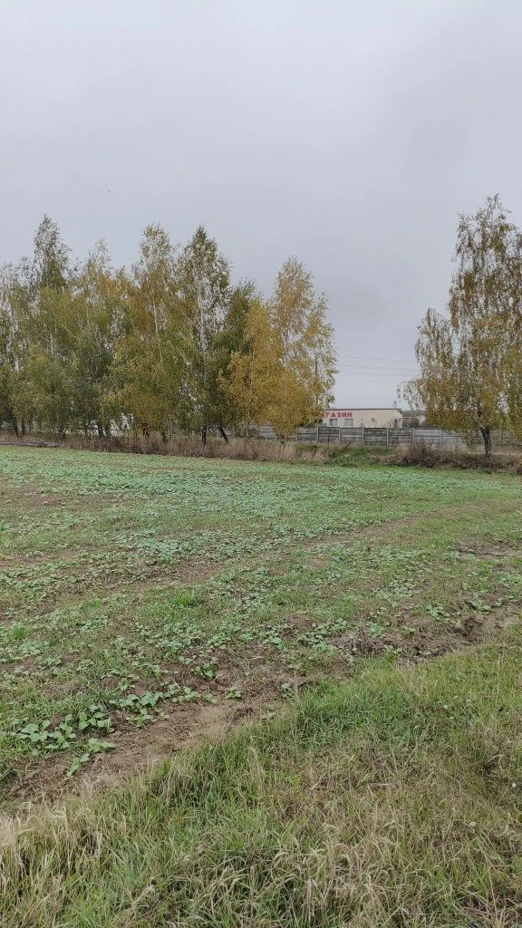 Продажа земельного участка 51 сотка