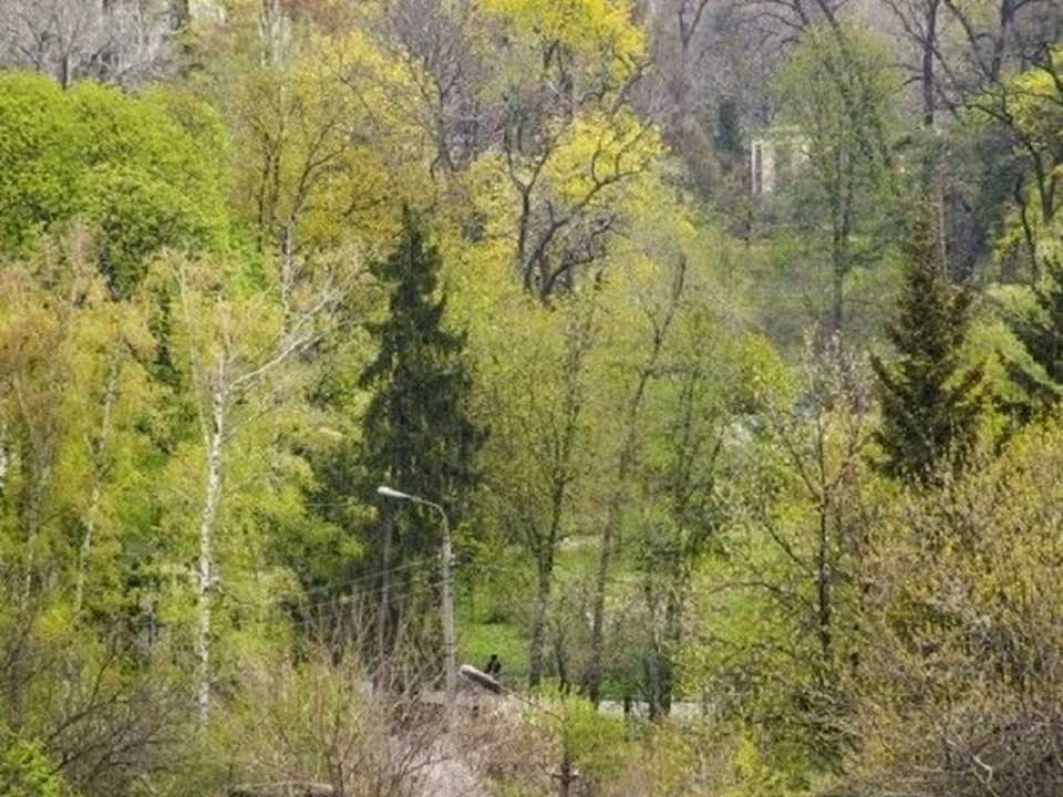 Квартира. Київ, вулиця Гетьмана Павла Скоропадського