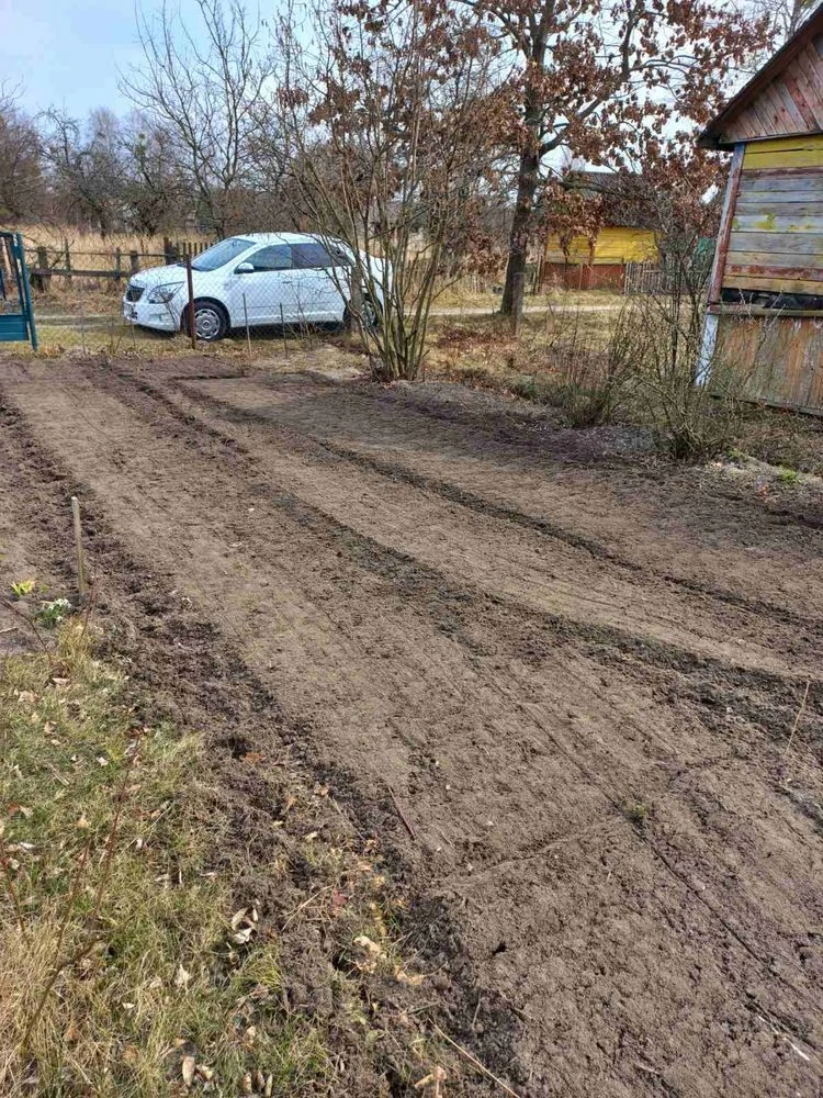 Дача, дачна ділянка