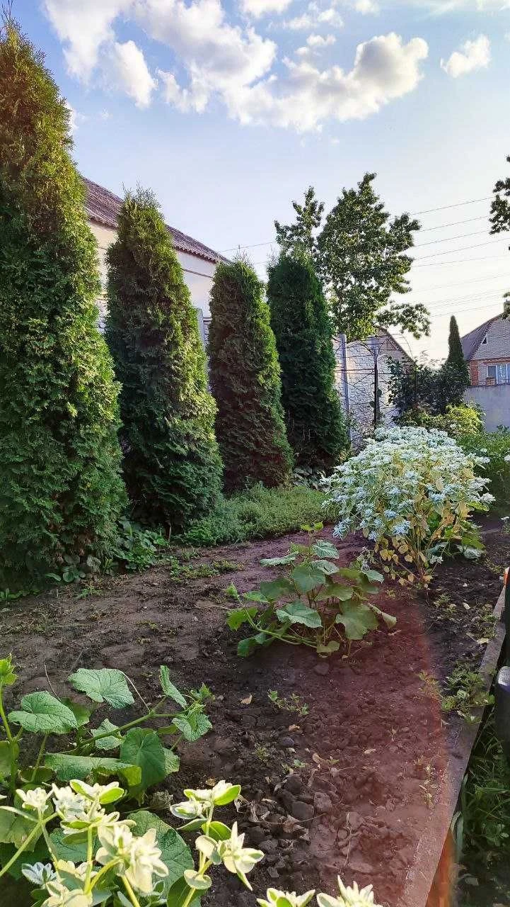 Терміновий продаж цегляного будинку в центрі Дергачів.