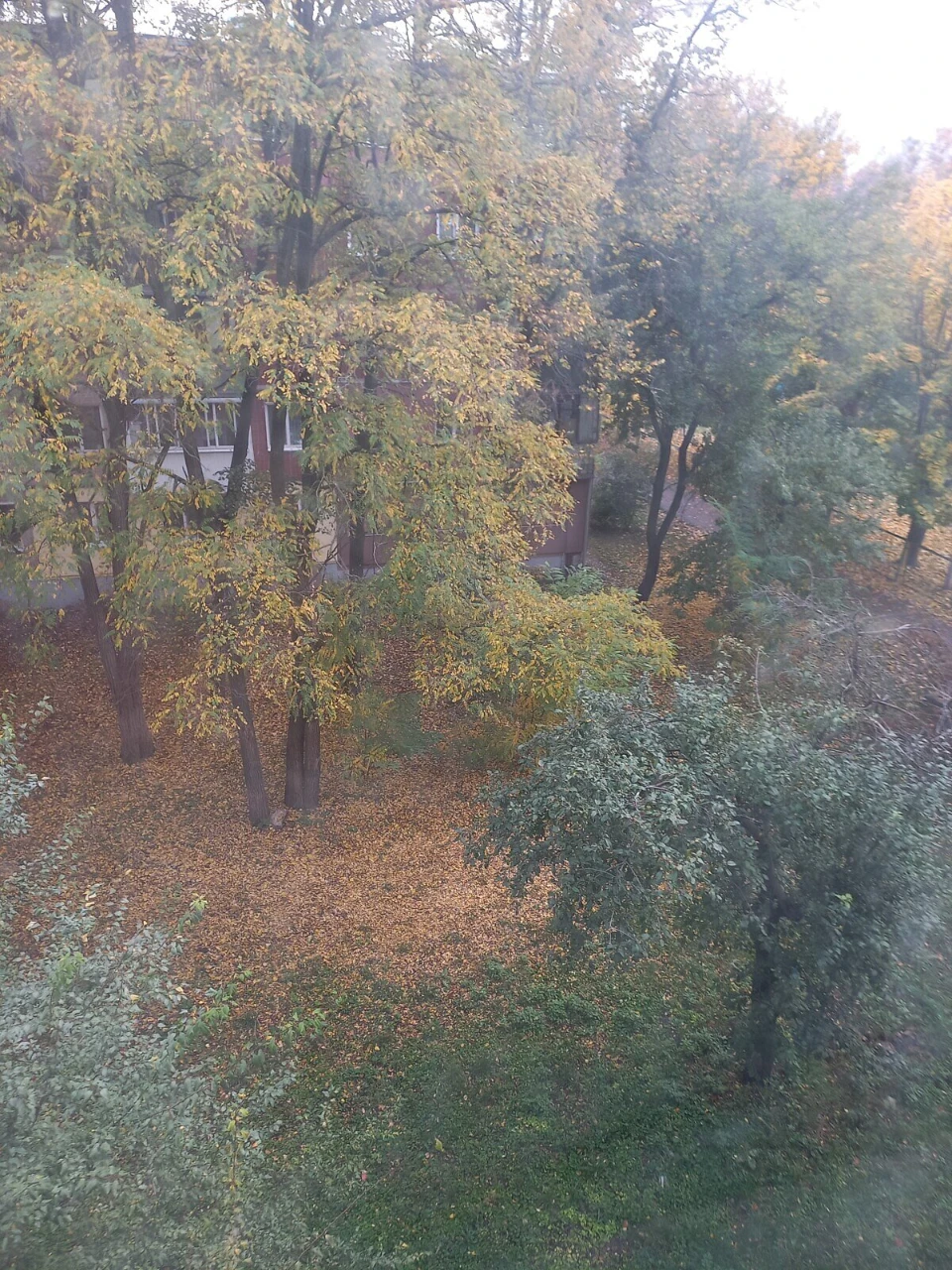 Long-Term Rental Apartment, First House