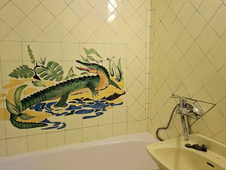Apartment. Odessa, Nikolayivska Street, вул.
