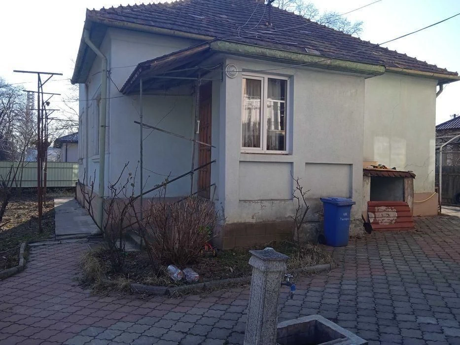 Власний зелений куточок у центрі Ужгорода — будинок у Велико