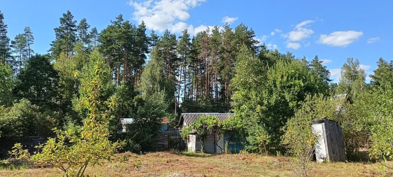 Дача біля лісу та ставка
