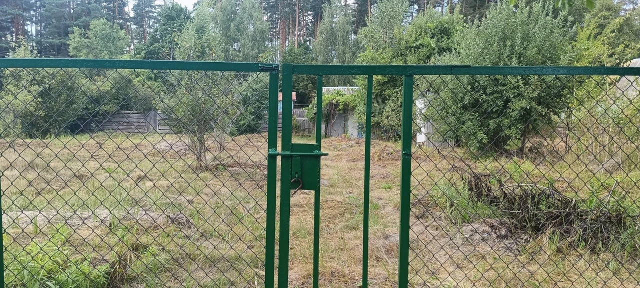 Дача біля лісу та ставка