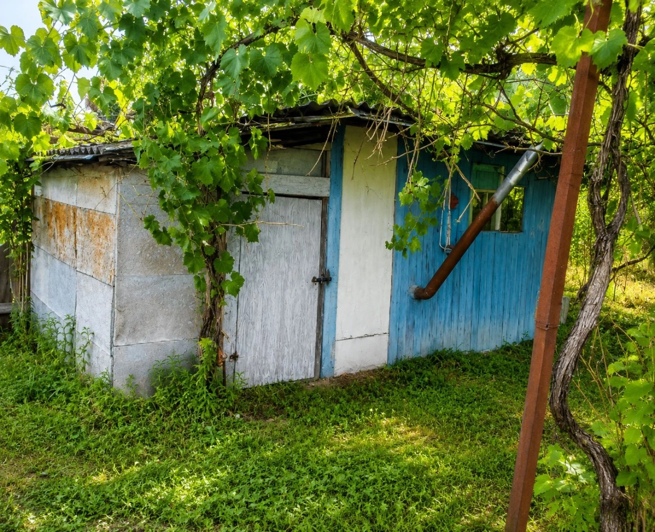 Дача біля лісу та ставка