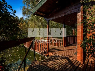 House. Kyiv, Forest