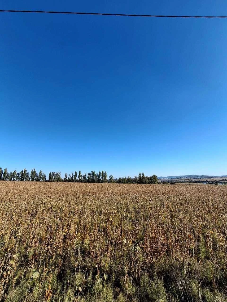 Land for sale - Malovanka
