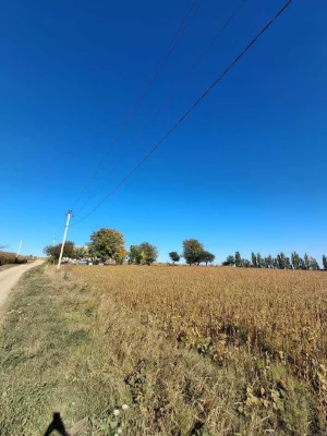 Land for sale - Malovanka