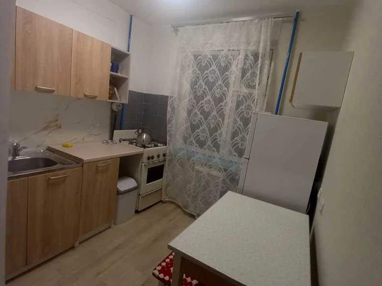 Apartment. Vasyl Polyk St., Kyiv