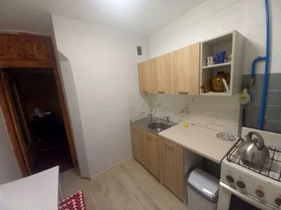 Apartment. Vasyl Polyk St., Kyiv