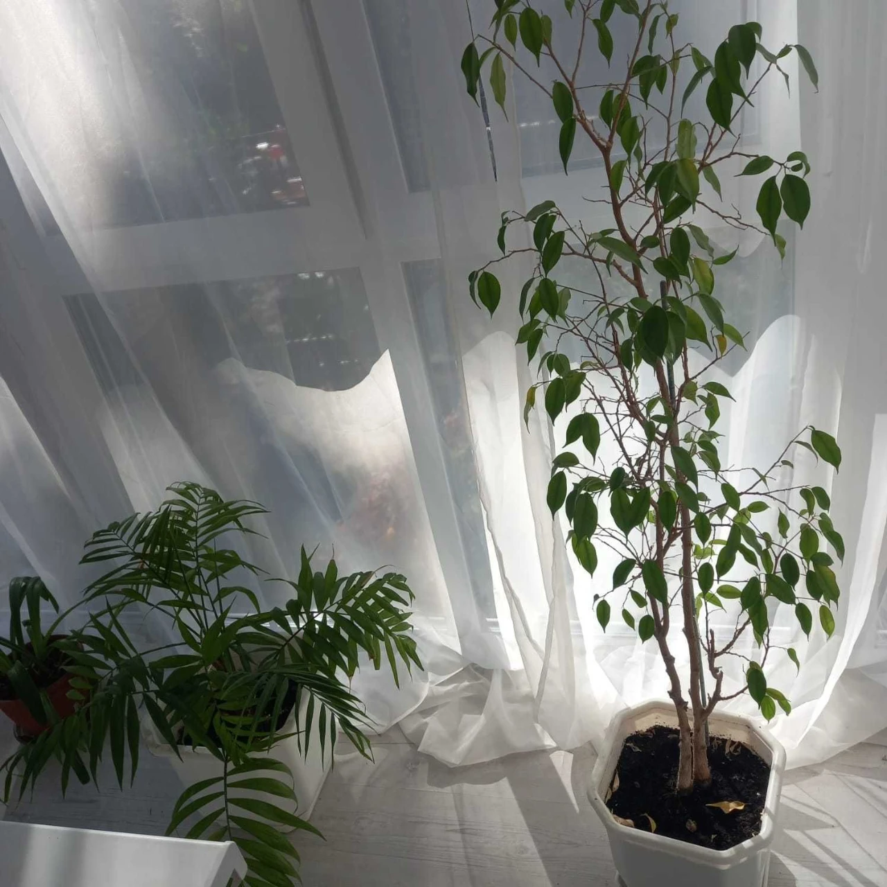 3-room apartment on Gagarin Avenue from the owner