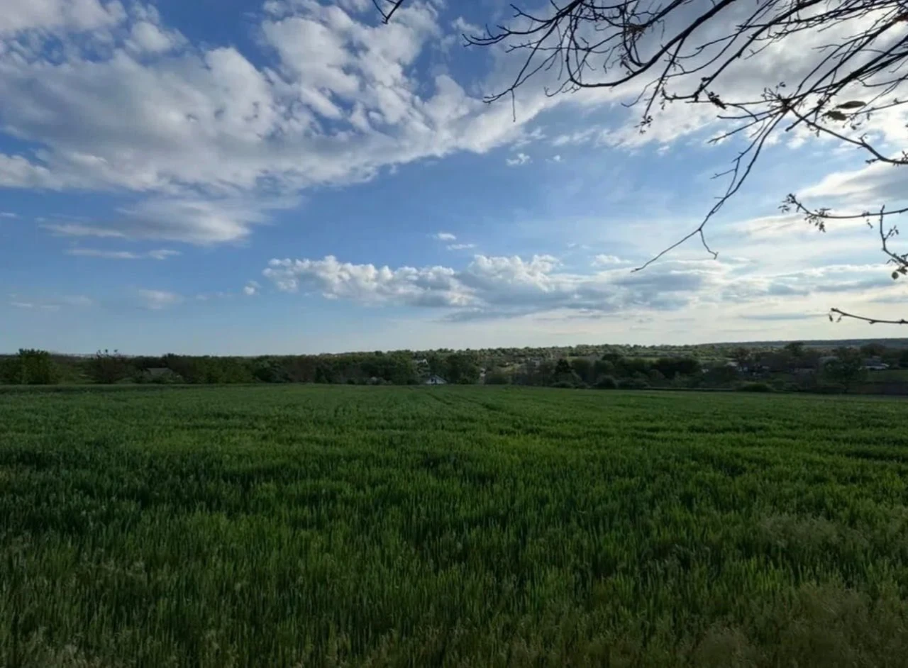 House for sale with a large plot of land in