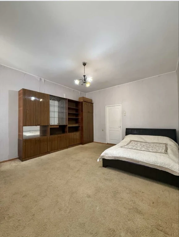 1 bedroom apartment, large area. Center.