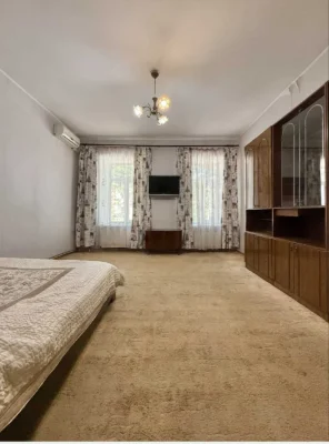 1 bedroom apartment, large area. Center.