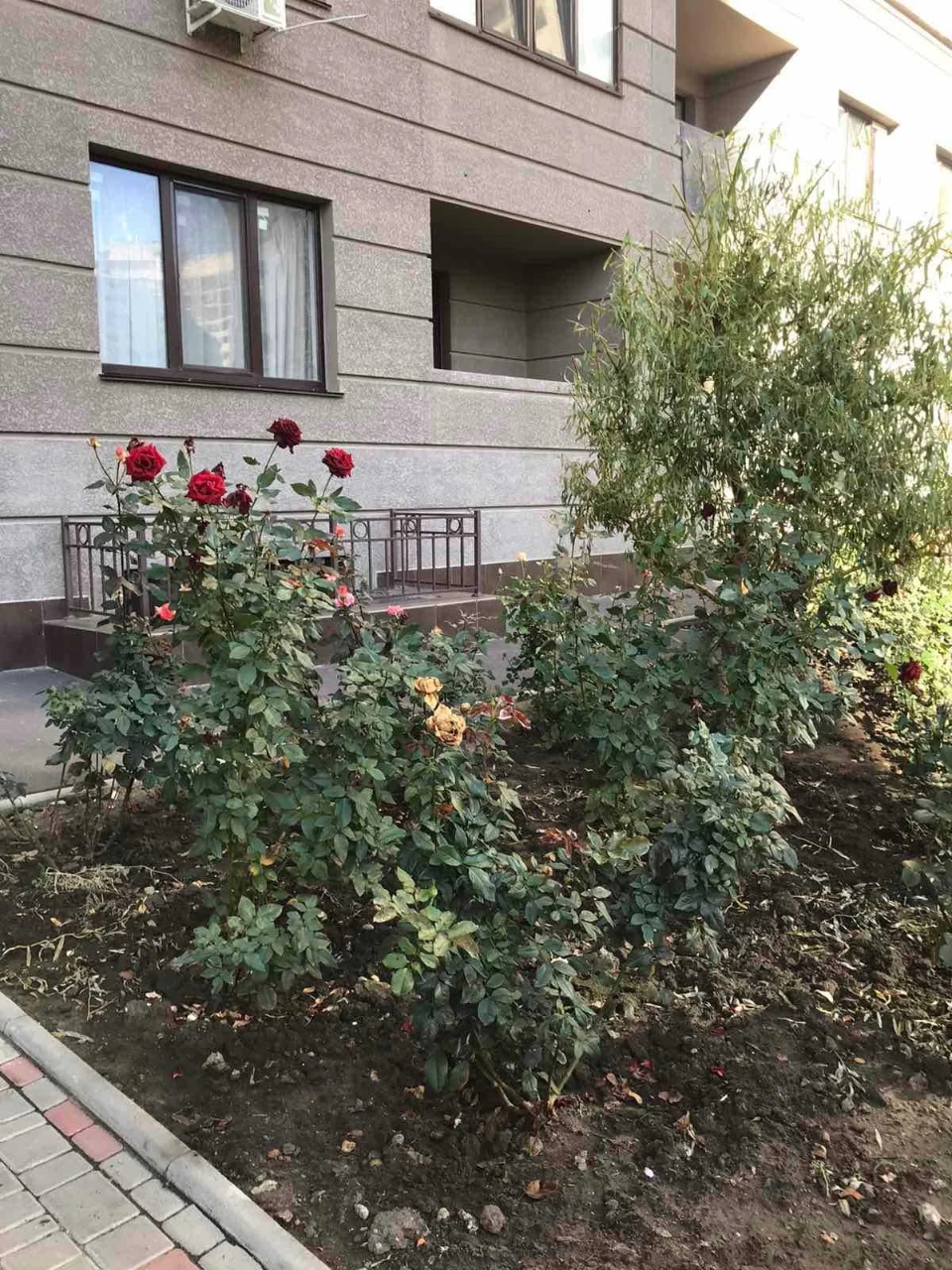 For Sale: 1-bedroom apartment in the "Odes'ki Traditsii" residential complex on Grushevsky Street