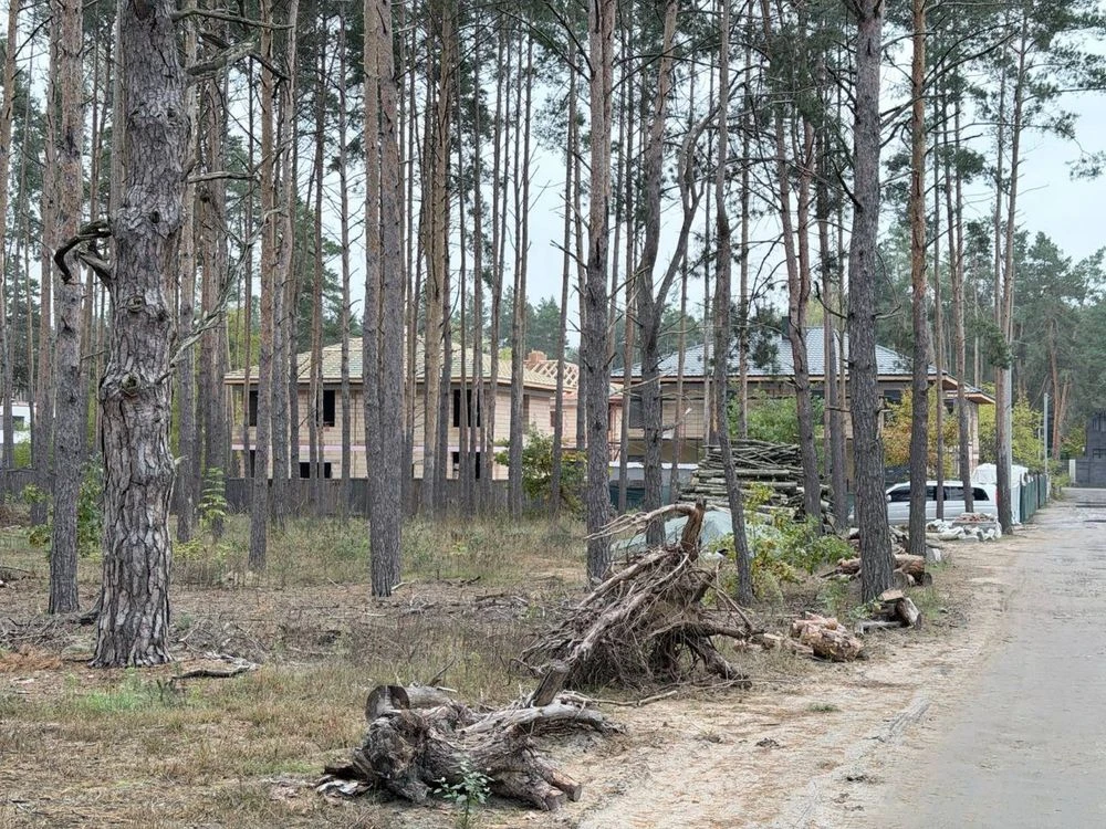 продам дуплекс в Лісові Бучі