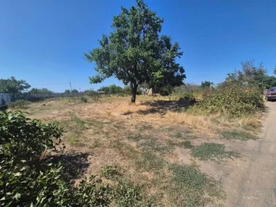 6-Acre plot in the suburb of Chornomorska