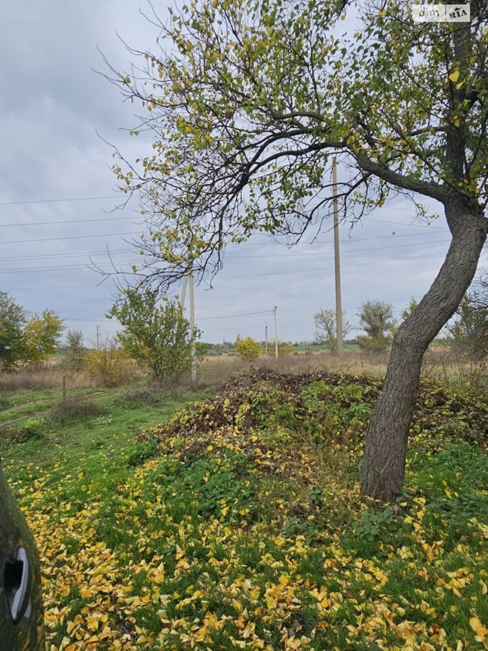 Продаж Дім Березанівка