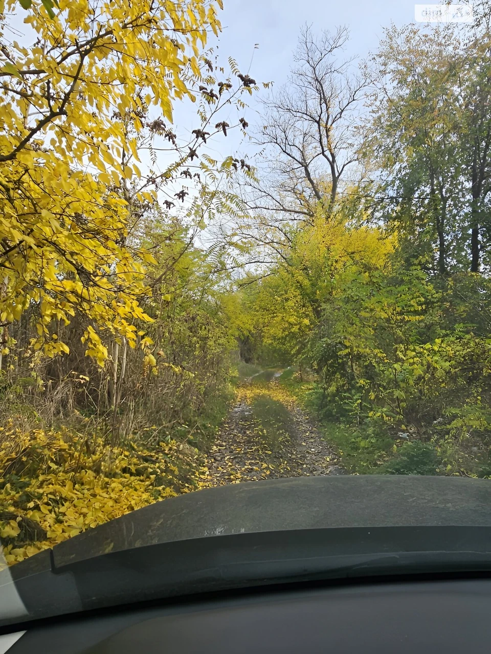 Продаж Дім Березанівка