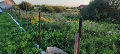 OWNER Land plot for construction, near the city of Sarny