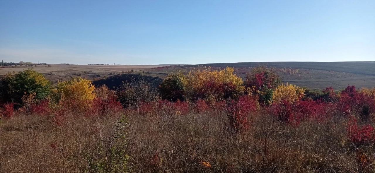 Land for sale for building, October, 7 acres!!