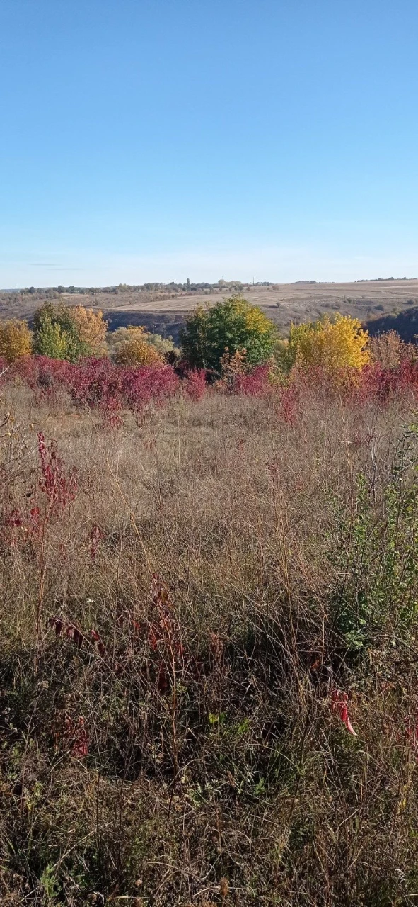 Land for sale for building, October, 7 acres!!