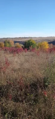 Land for sale for building, October, 7 acres!!