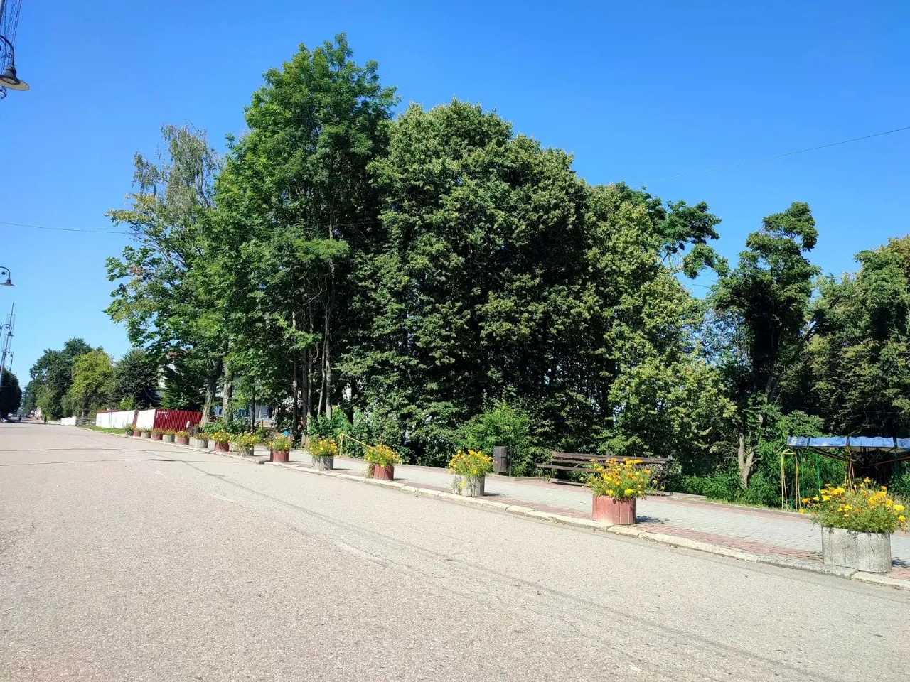 Exclusive sale of a 60.83 hectare land plot in the center of Morshyn