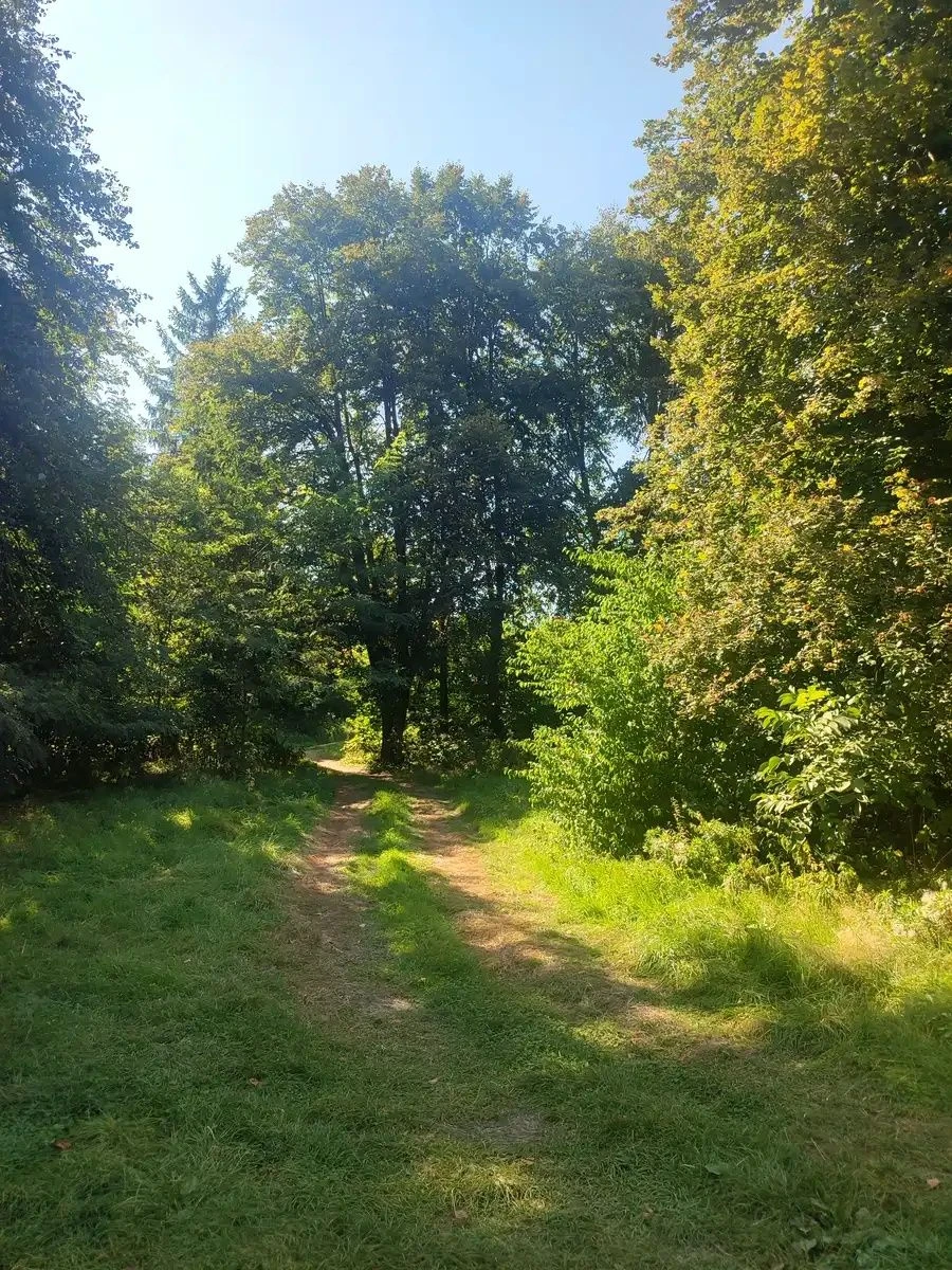 Exclusive sale of a 60.83 hectare land plot in the center of Morshyn