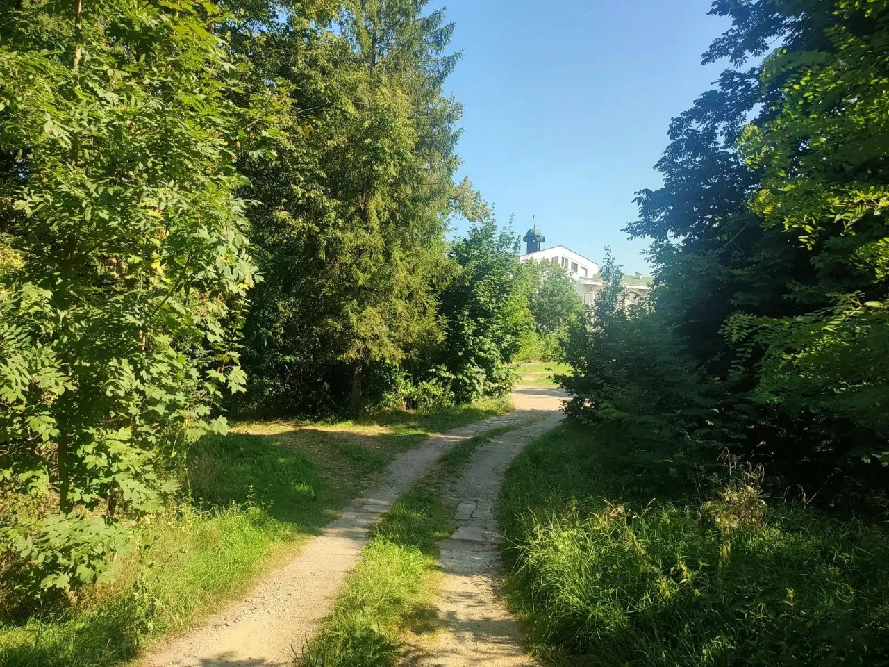 Exclusive sale of a 60.83 hectare land plot in the center of Morshyn