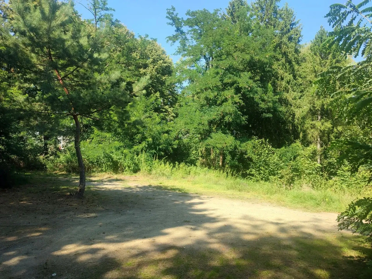 Exclusive sale of a 60.83 hectare land plot in the center of Morshyn